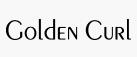 goldencurl優(yōu)惠券
