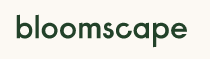 bloomscape優(yōu)惠券