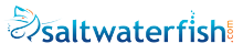 saltwaterfish優(yōu)惠券