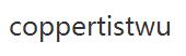 coppertistwu優(yōu)惠券