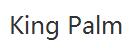 kingpalm優(yōu)惠券