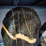 一塊石頭門(mén)前放，少病無(wú)災(zāi)人興旺，財(cái)源廣進(jìn)保平安